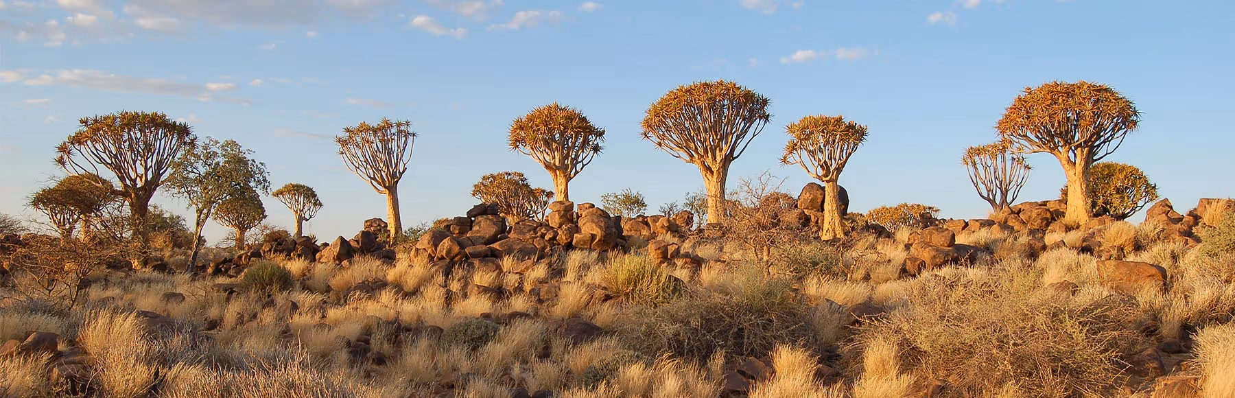 Grootvlei Guest Farm