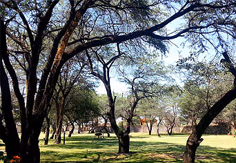 Hakusembe Campsite