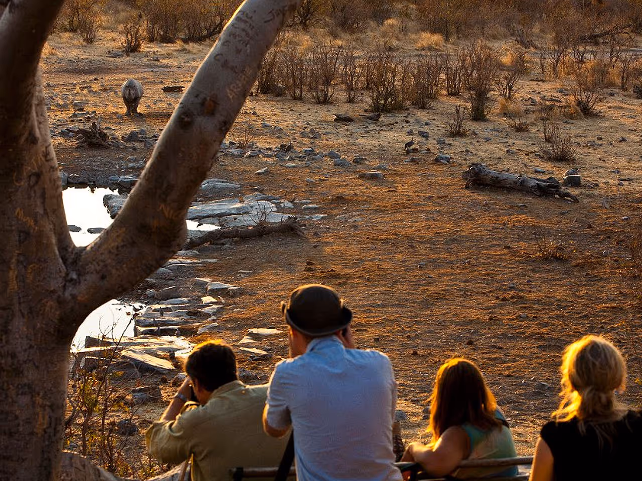 Halali Campsite