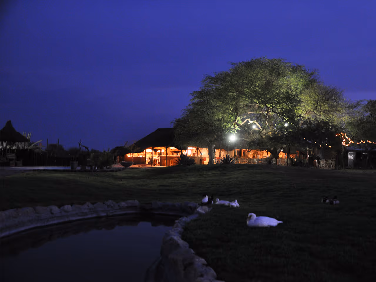 Harnas Wildlife Foundation