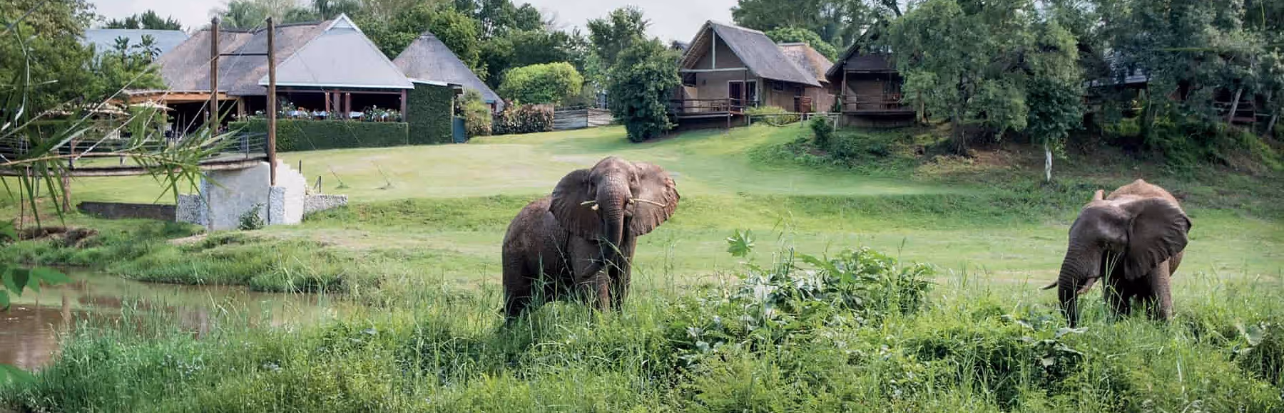 Hippo Hollow Country Estate