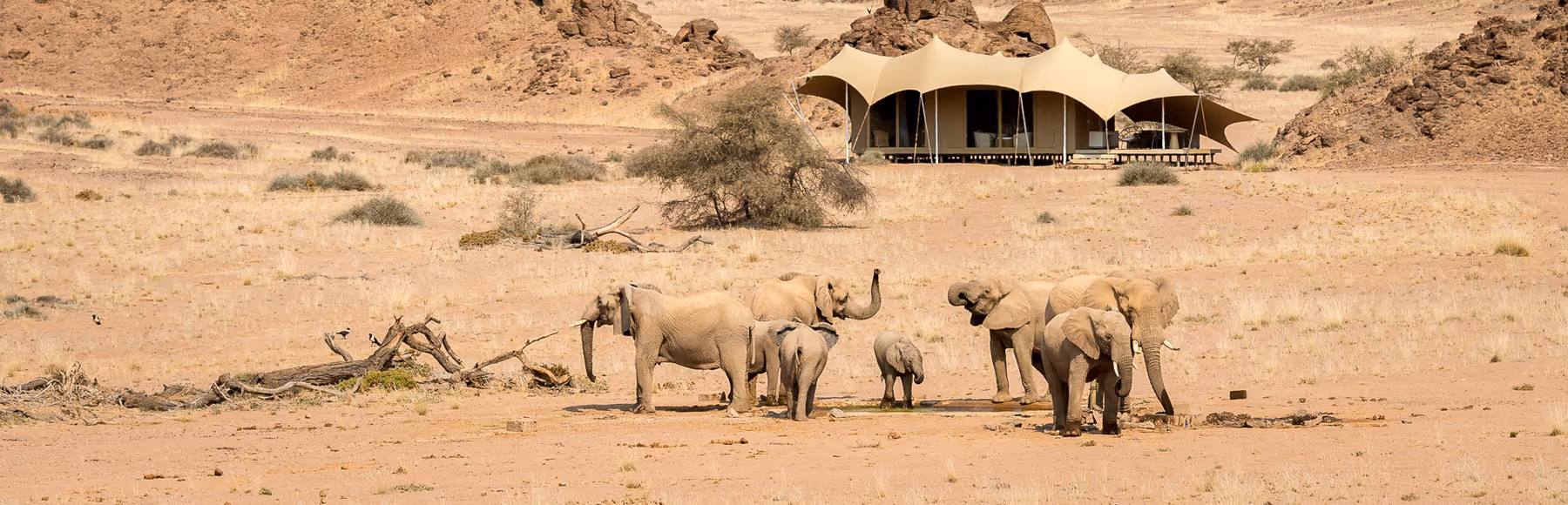 Hoanib Skeleton Coast Camp