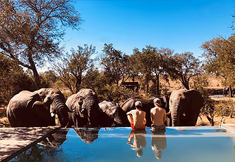 Honeyguide Mantobeni Camp