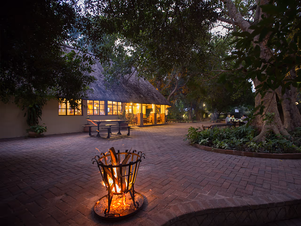 Island Safari Lodge