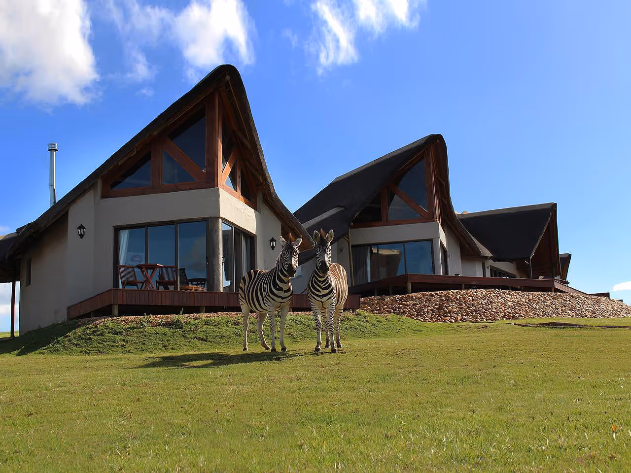 J-Bay Zebra Lodge