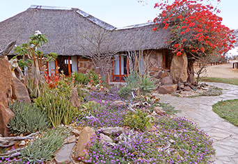 Kalahari Bush Breaks