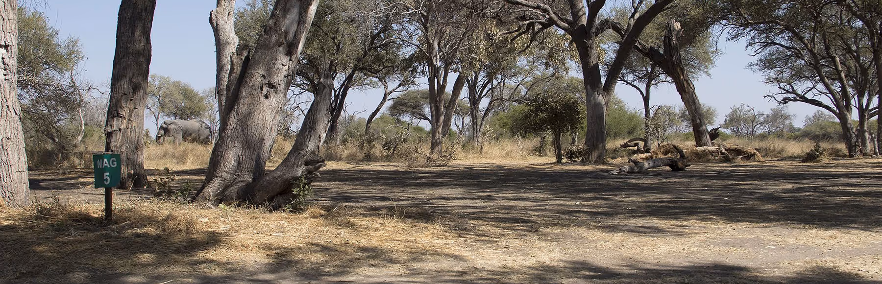 Khwai Campsite