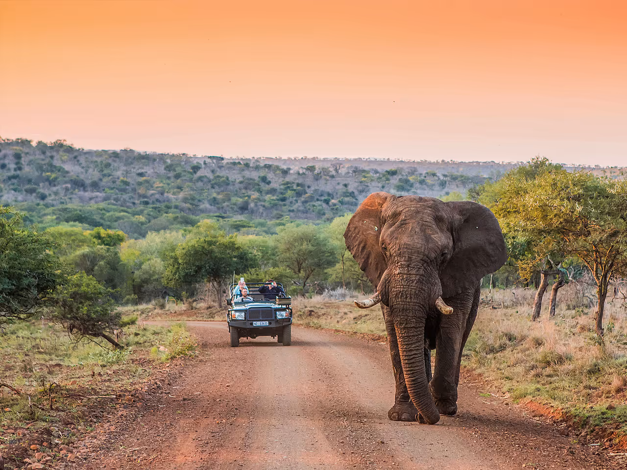 Leopard Mountain Lodge