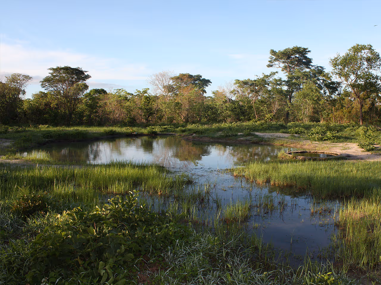 Miombo Safari Lodge