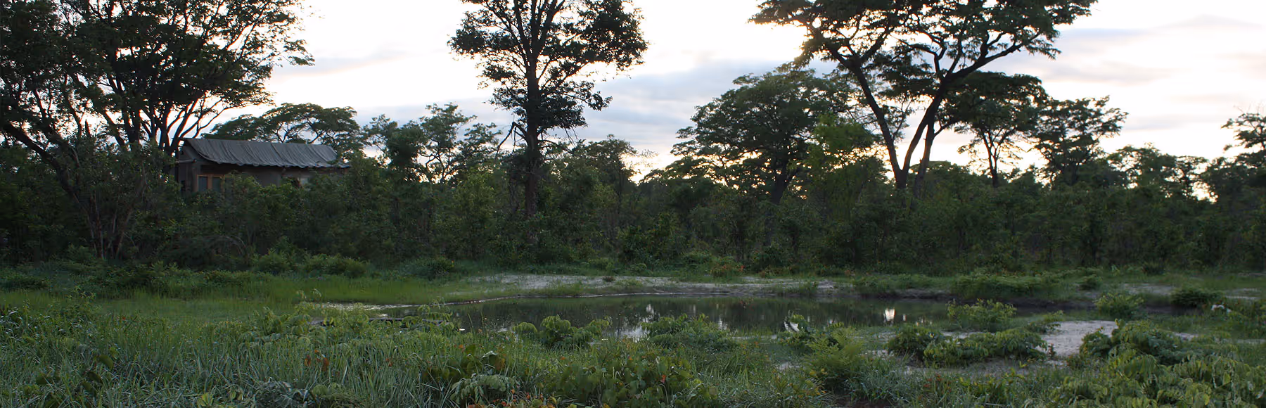 Miombo Safari Lodge