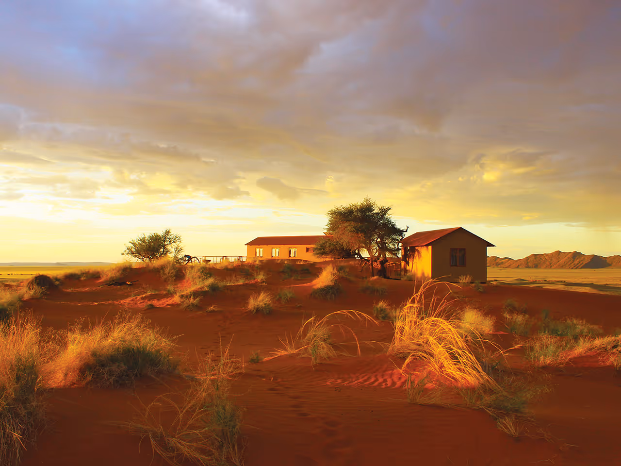 Namib Dune Star Camp