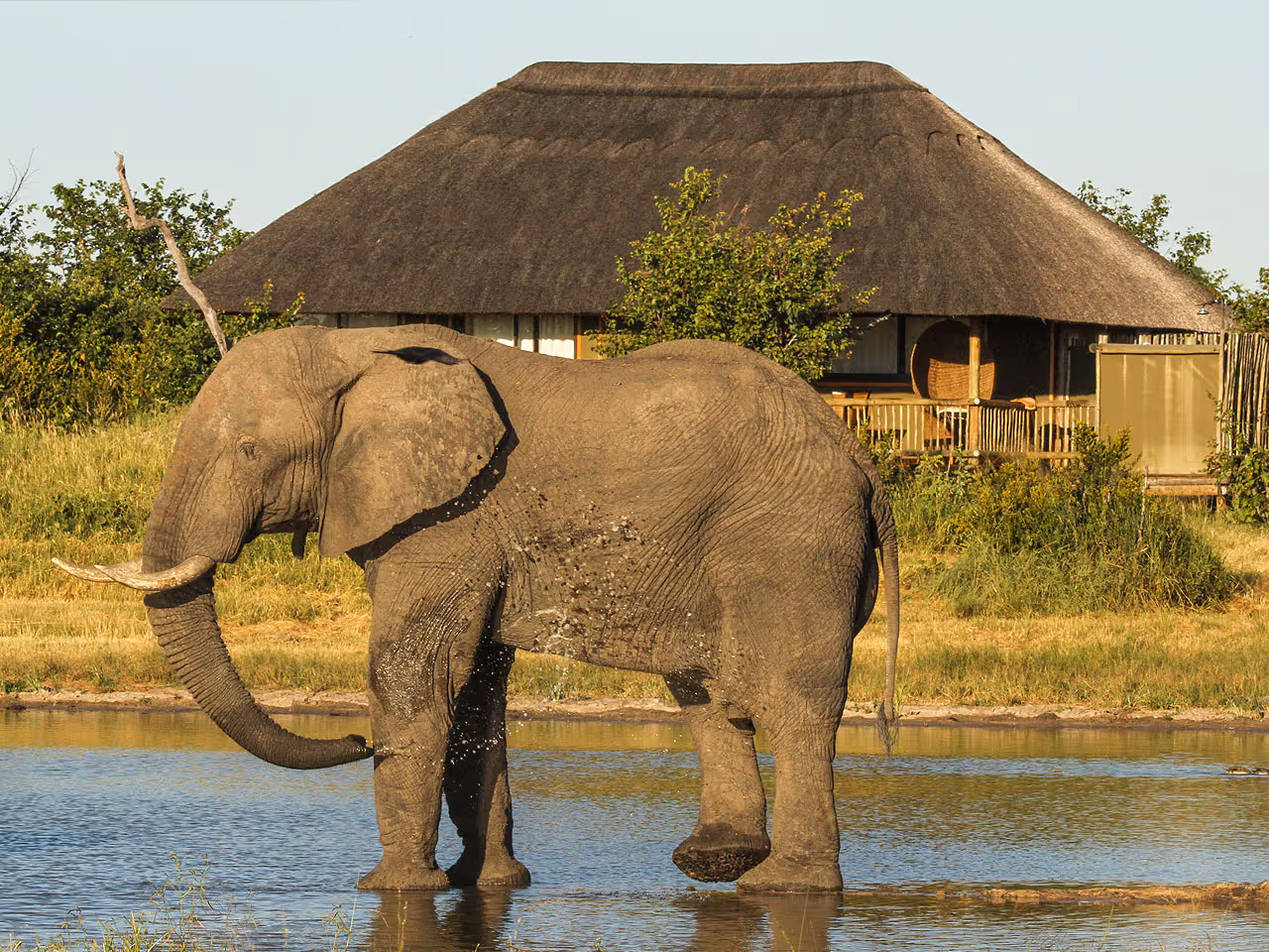 Nehimba Lodge