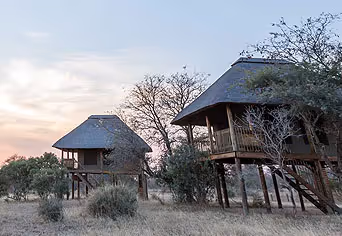 nThambo Tree Camp