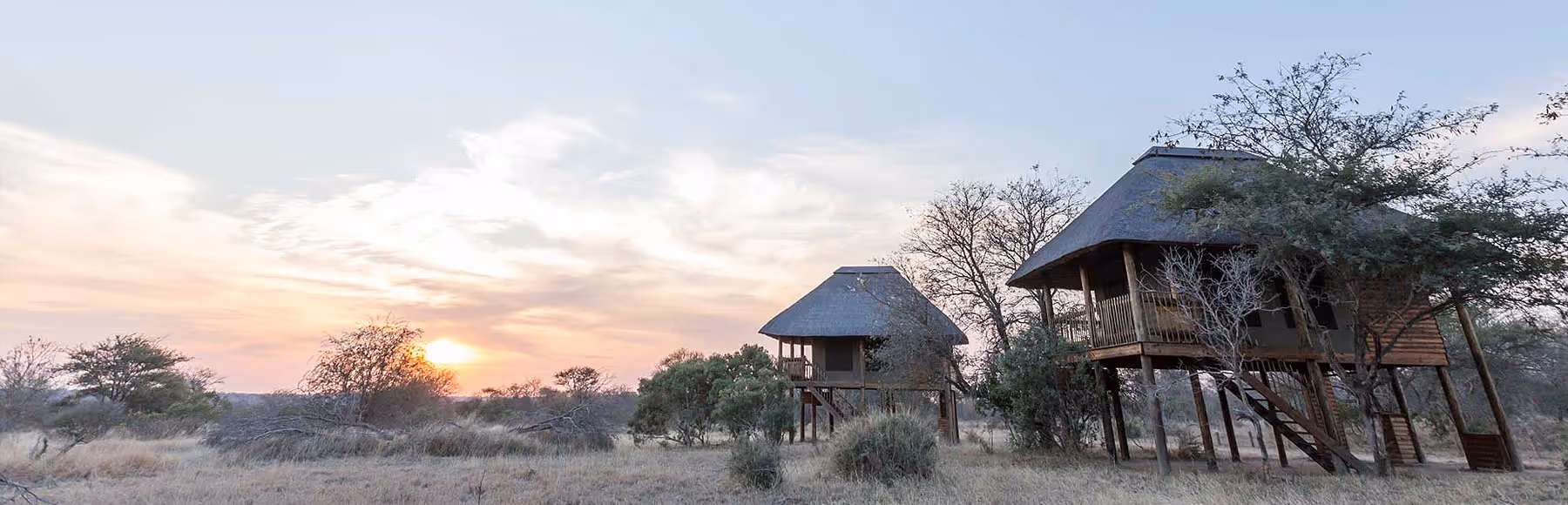 nThambo Tree Camp