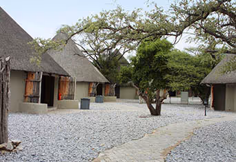 Okaukuejo