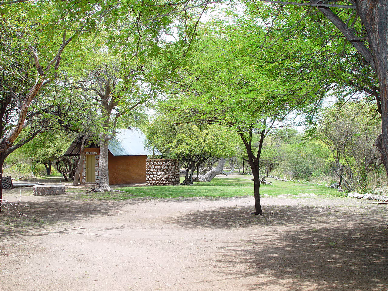 Onguma Leadwood Campsite
