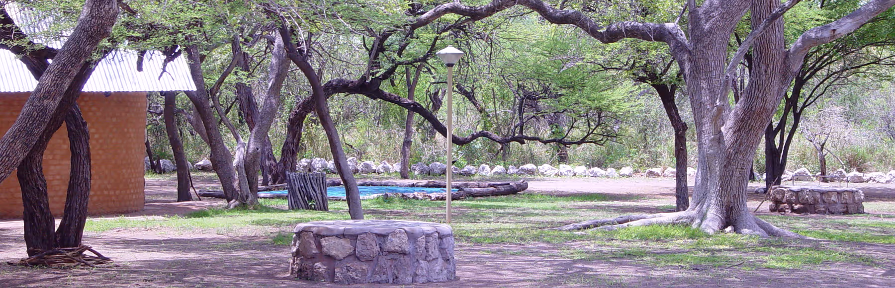 Onguma Leadwood Campsite