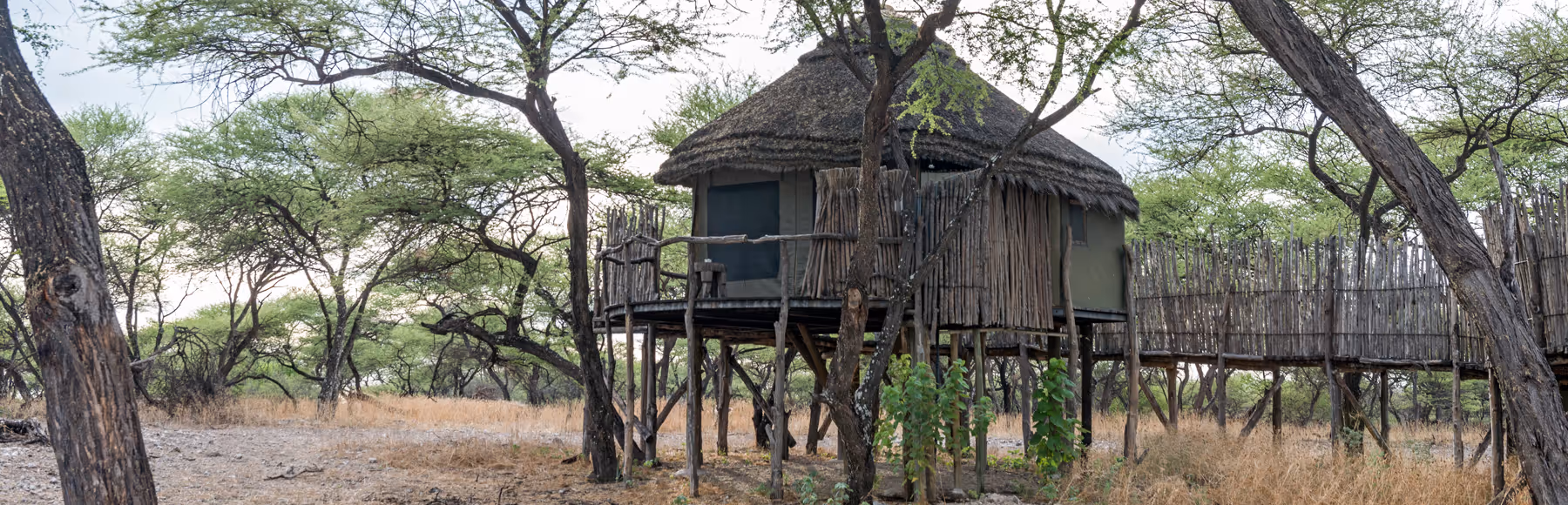 Onguma Treetop Camp