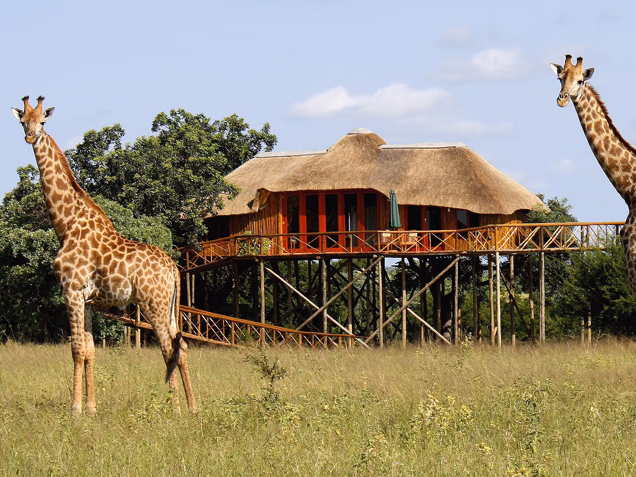 Pezulu Tree House Lodge