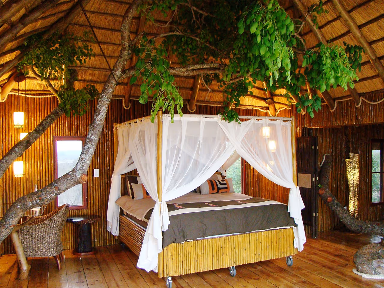 Pezulu Tree House Lodge