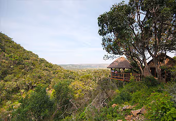 Woodbury Lodge