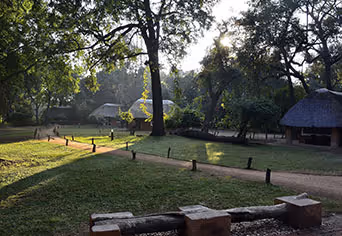 Wildlife Camp