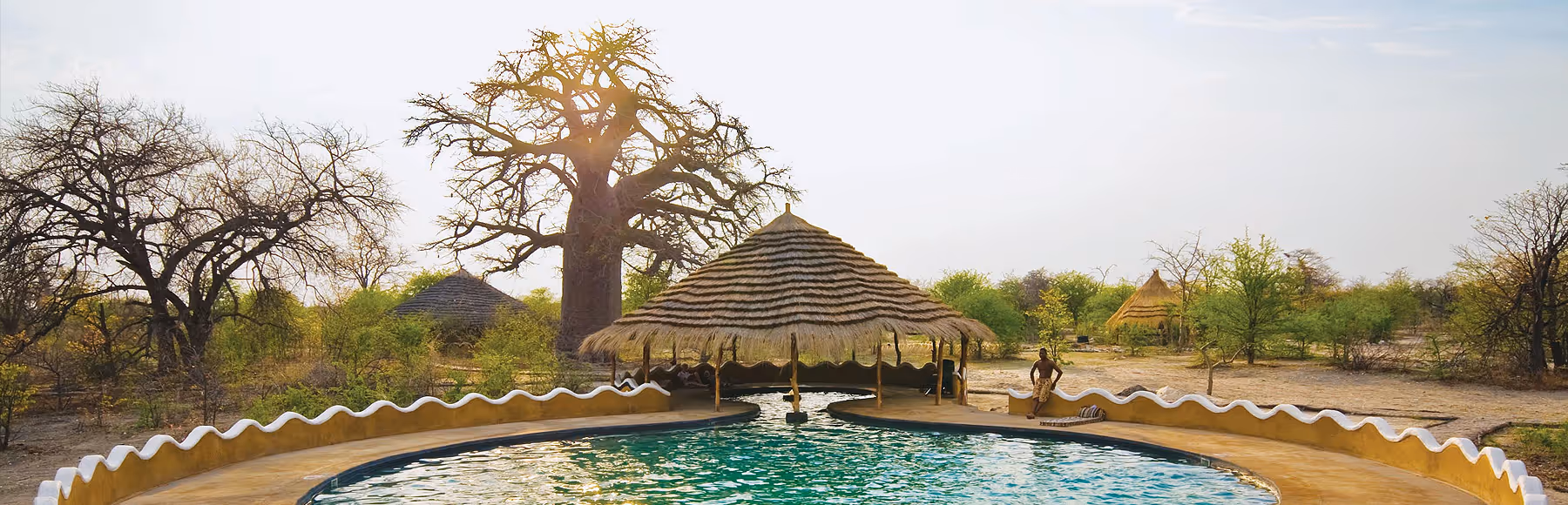 Planet Baobab