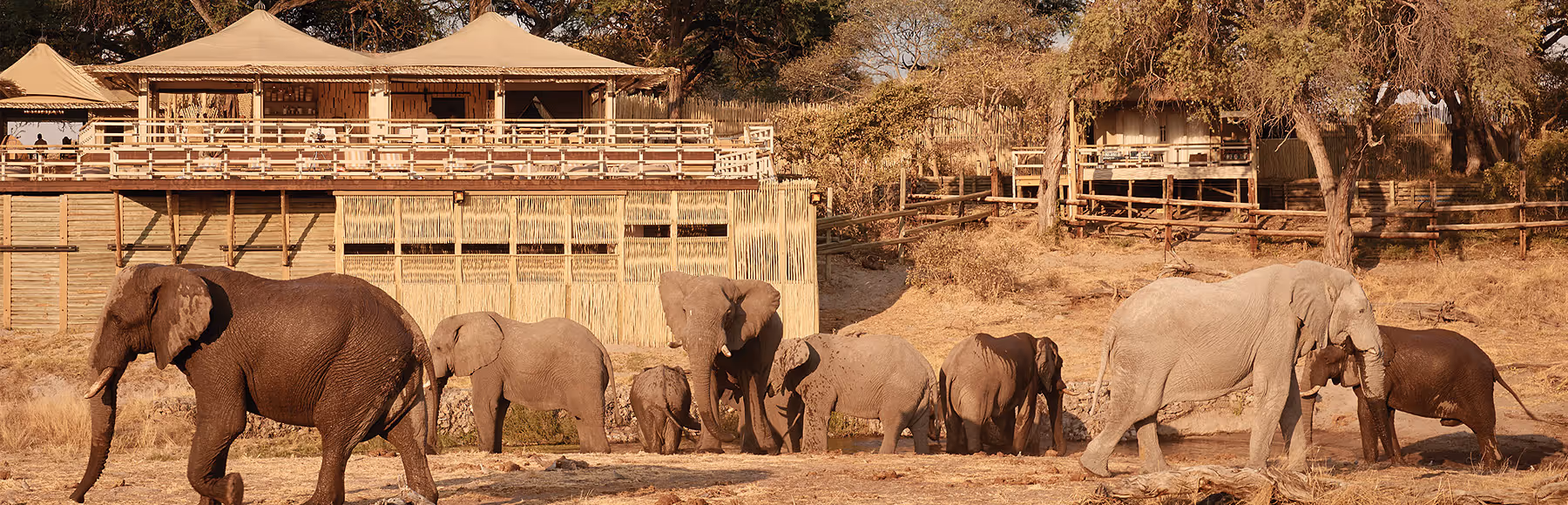 Savute Elephant Lodge