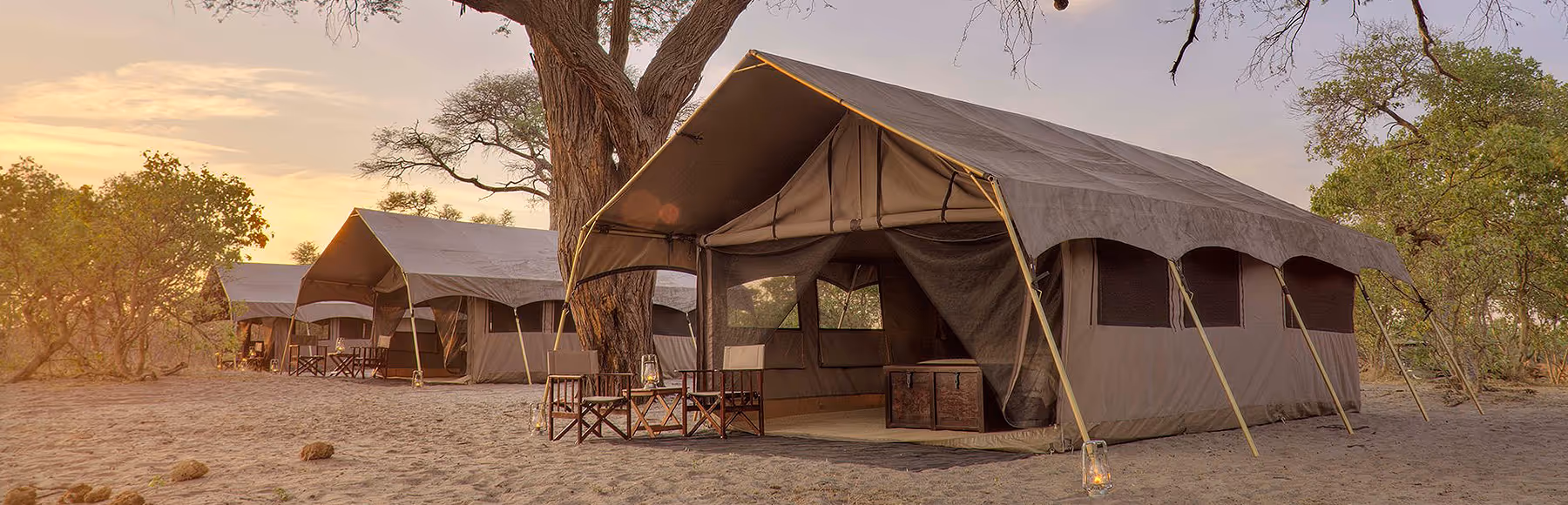 Savute Under Canvas