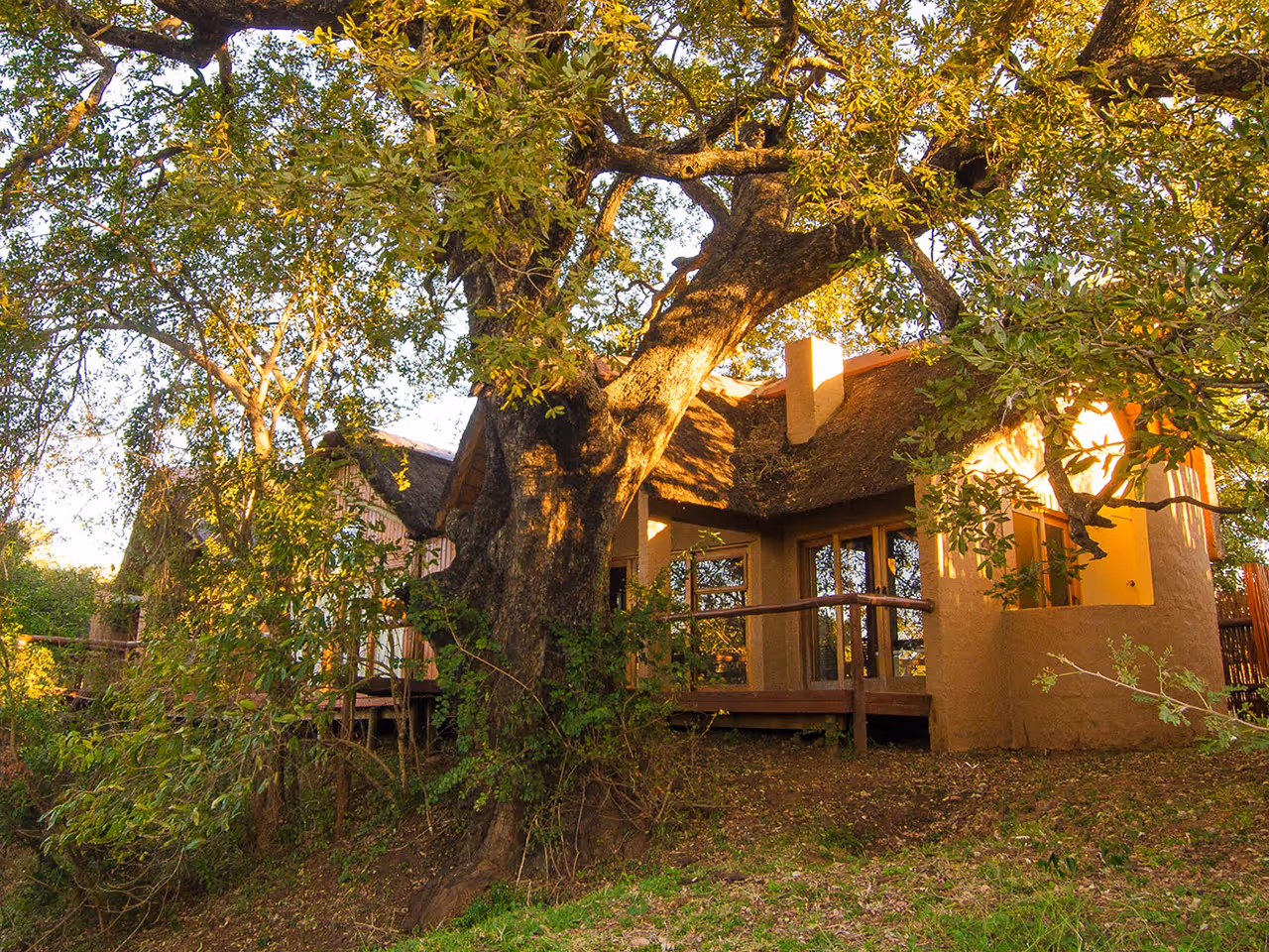 Shishangeni Private Lodge