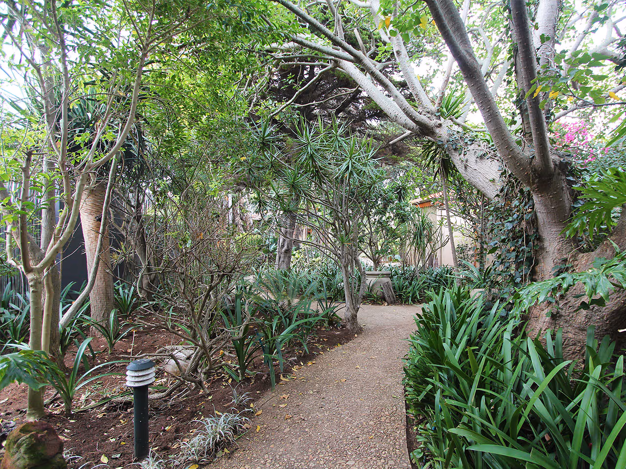 Singa Town Lodge