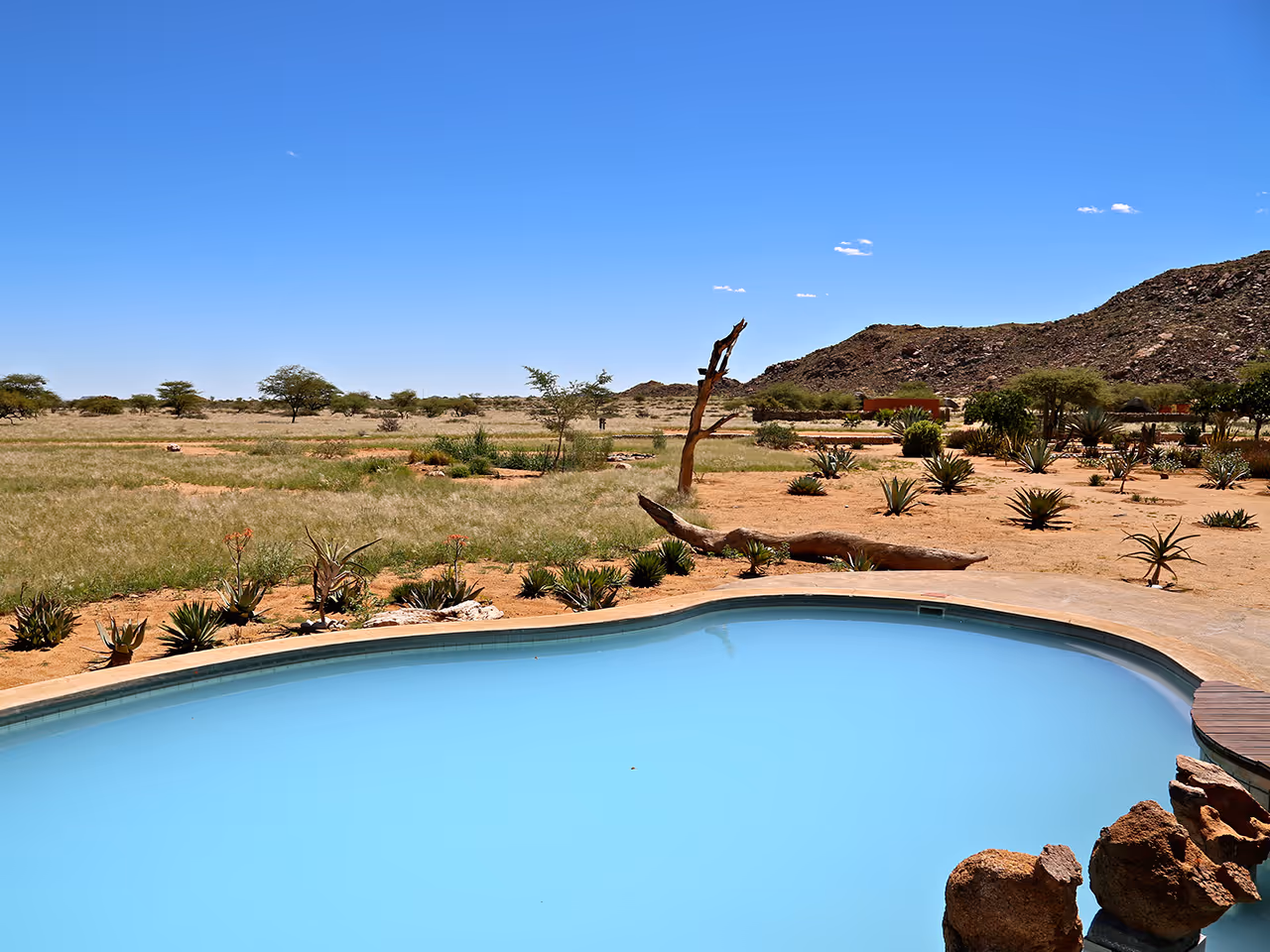 Solitaire Desert Farm