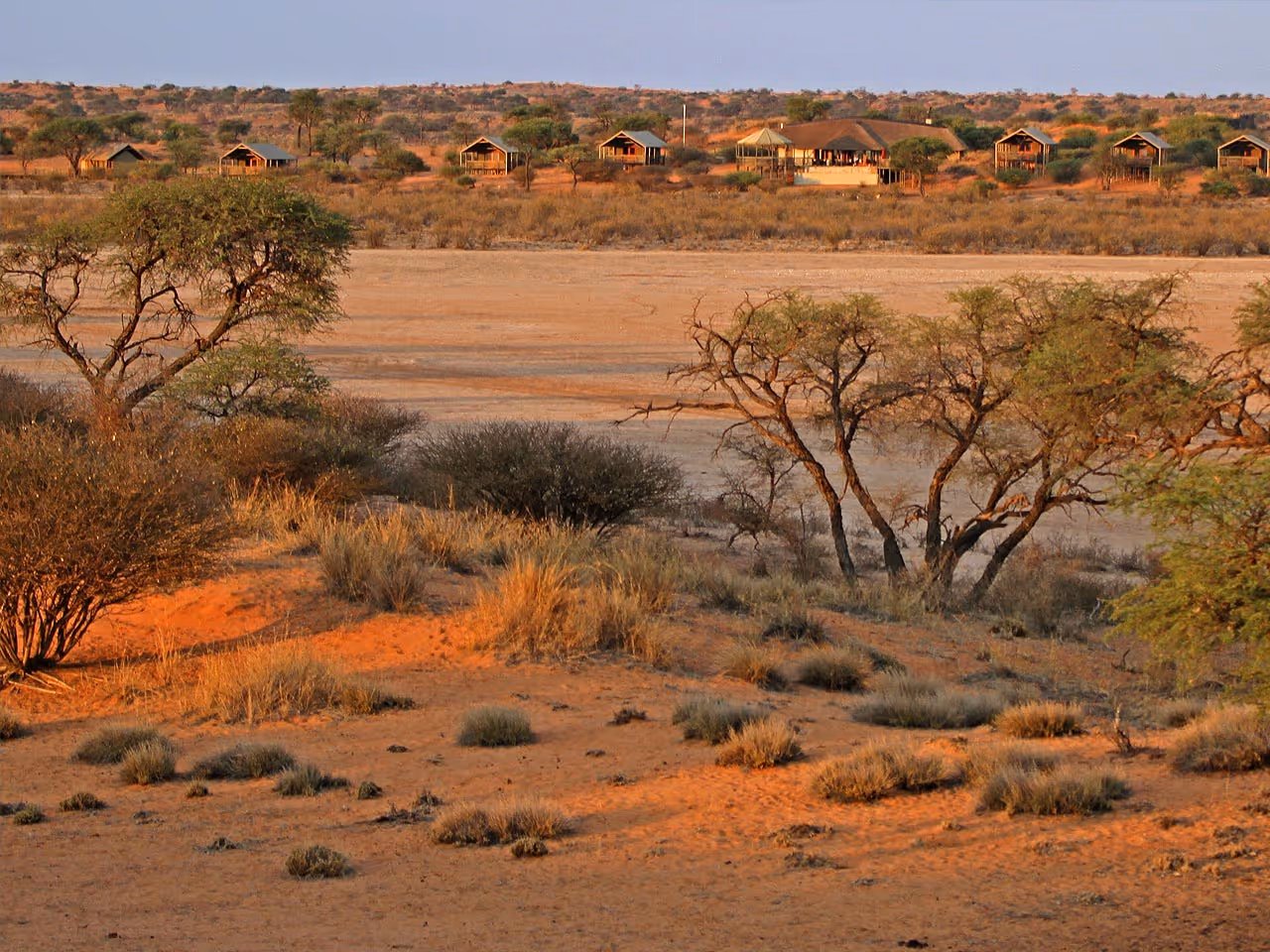 Suricate Kalahari Tented Lodge