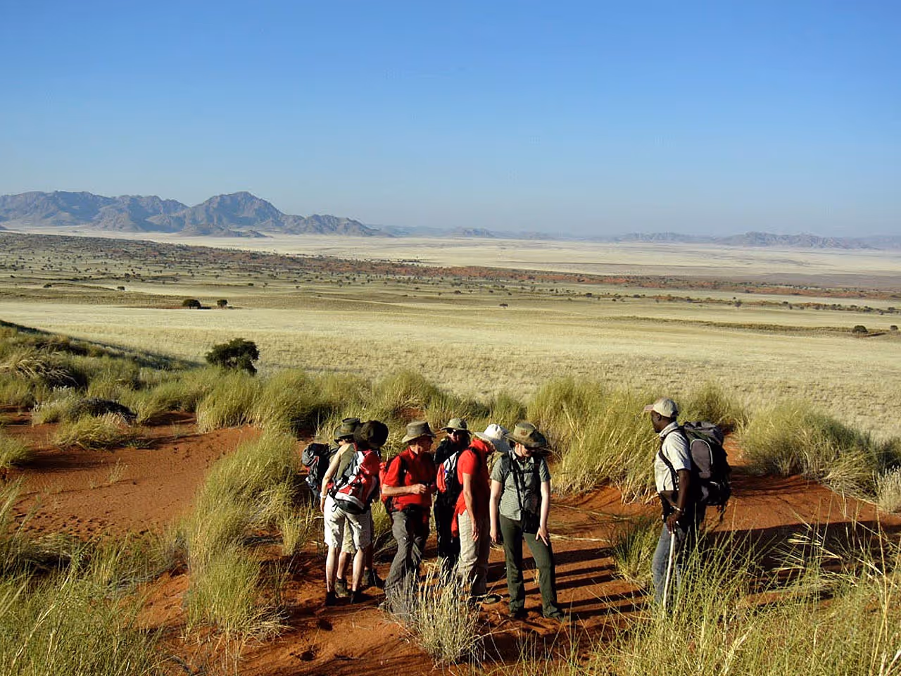 Tok Tokkie Trail