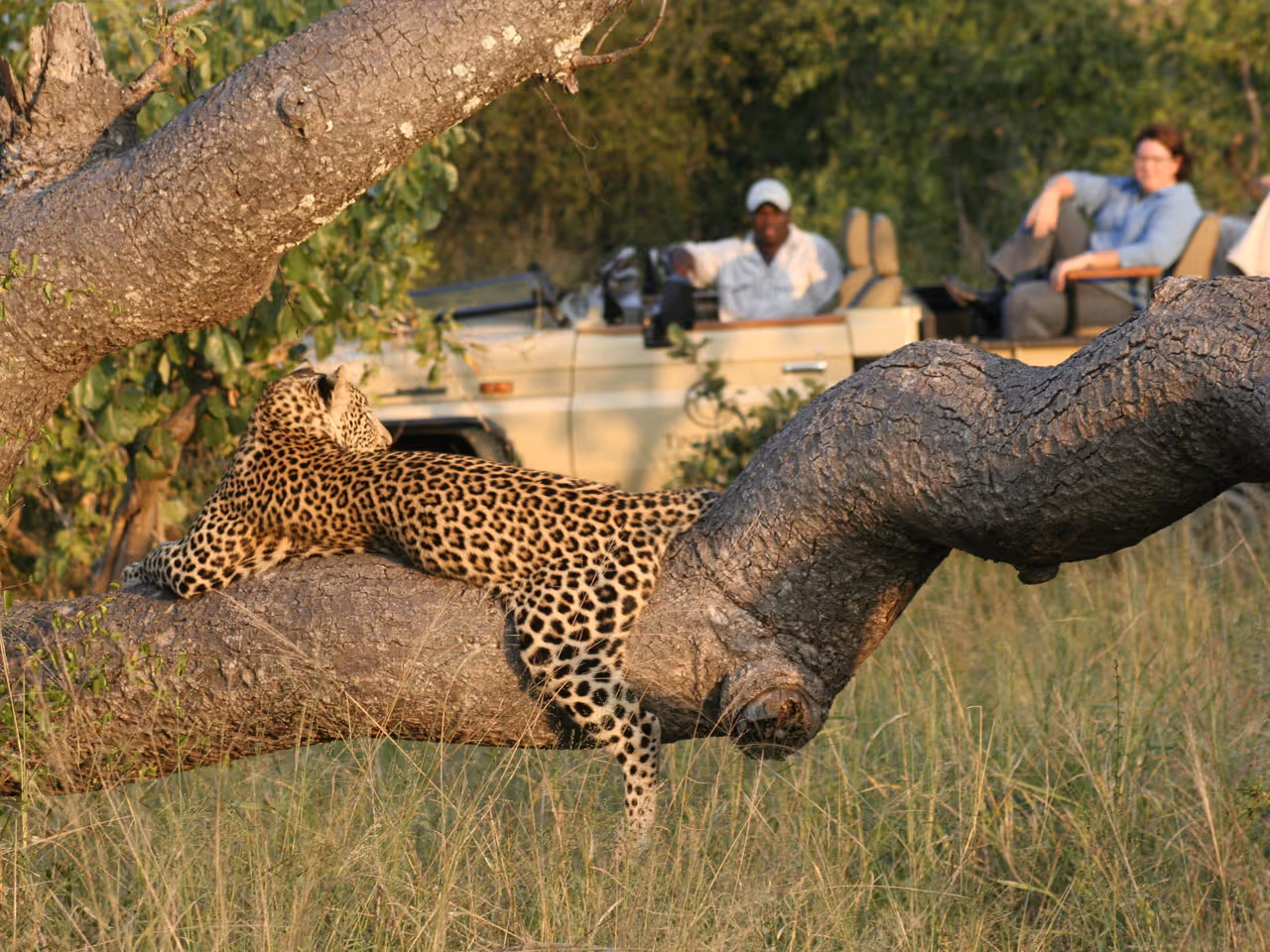 Tintswalo Safari Lodge