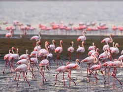 Namibia Beach Holidays