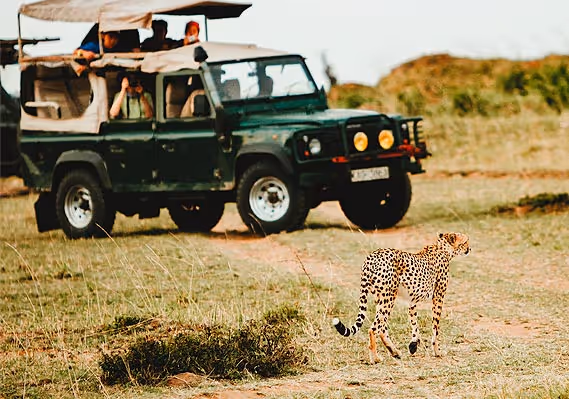 Private Guided Travel Info