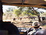 A view from inside a safari vehicle watching buffalo and rhino in the dust beneath trees.