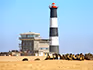 The lighthouse and Pelican Point Lodge on Pelican Point with seals.