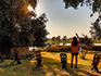 A lady standing at wooden chairs next to the lodge overlooking the lawn and river in the sun. 
