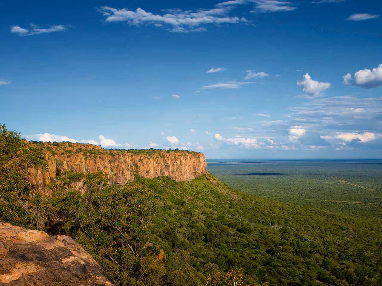A view over the Waterberg Plateau and surrounding green landscape.
