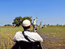 A row of four mokoros on a mokoro excursion in the Okavango Delta on the river. 