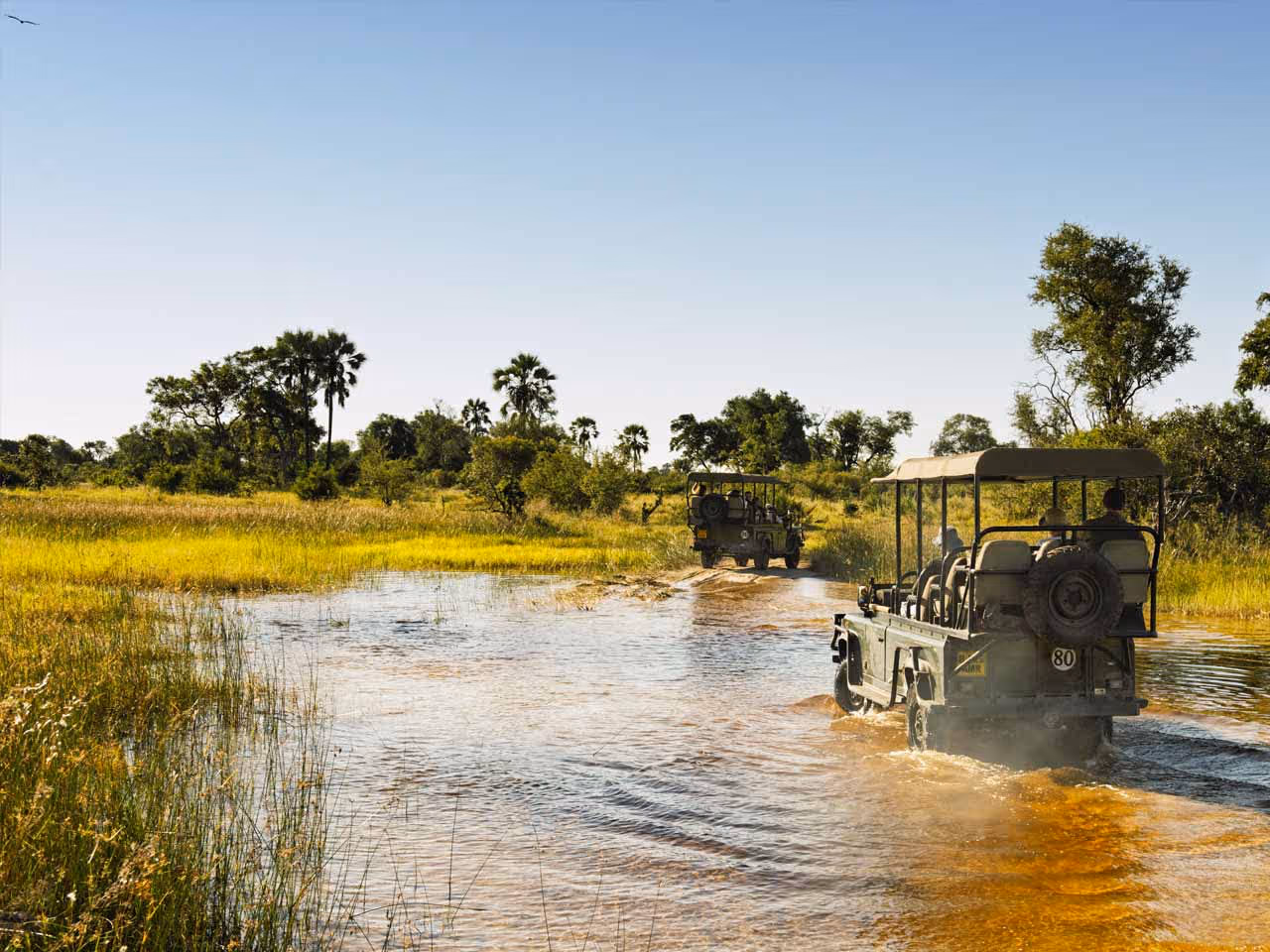 Two safari vehicles with guests driving through the water in the Okavango Delta.