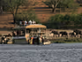 Guests on a boat cruise on the Chobe River watching elephants on the river bank from the water. 