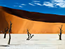 The stark white pan with dead trees and towering sand dunes in Dead Vlei near Sossusvlei. 