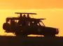 Group Safaris