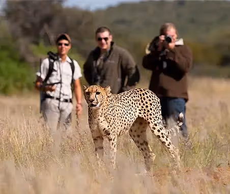 Best Time For... Photography
