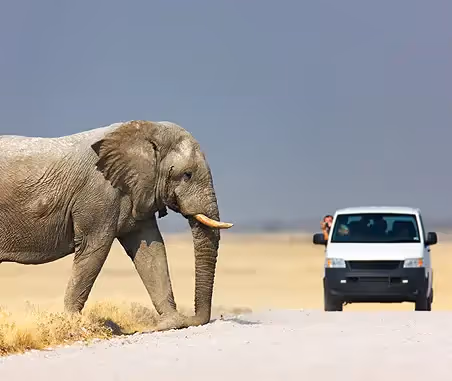 Best Time to Visit Namibia: Month by Month