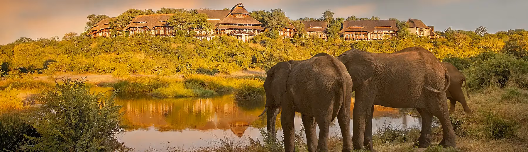 Elephants at a waterhole below with Victoria Falls Safari Lodge on the hill in the background.