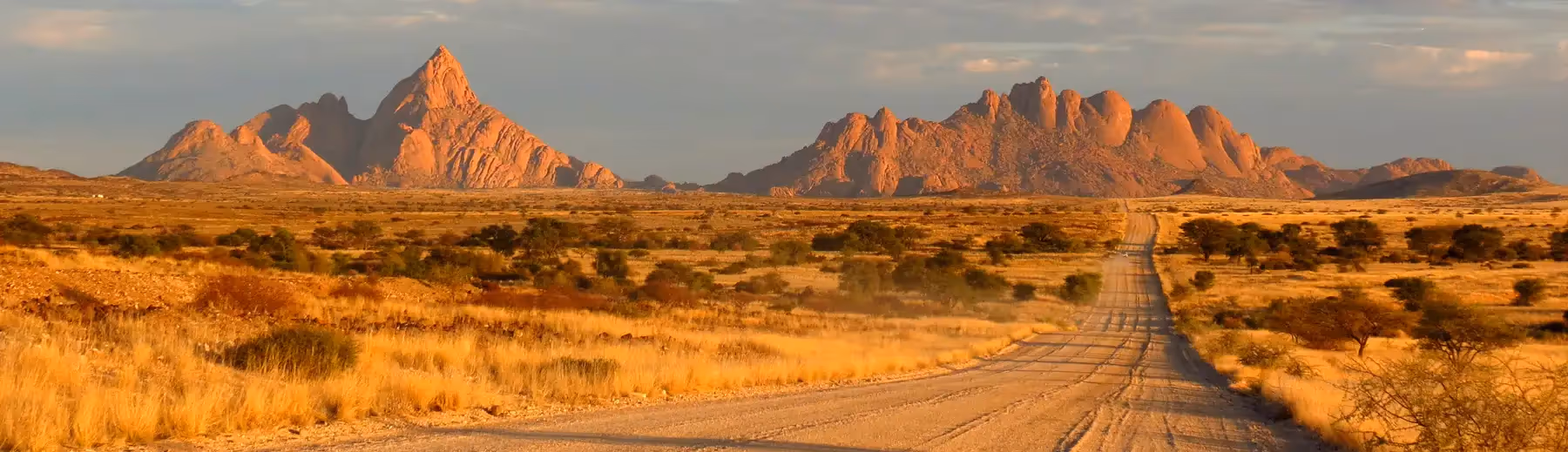 A gravel and sand road leading into the distance in a open desert landscape between and around the few trees. 
